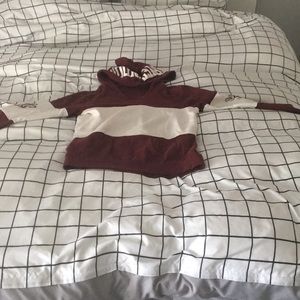 Gryffindor hoodie with gryffindor print on the arm